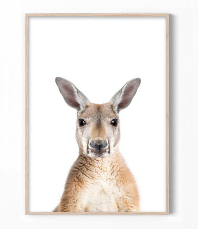 kangaroo-art-print