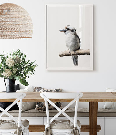 kookaburra-art-print-australian-bird-prints