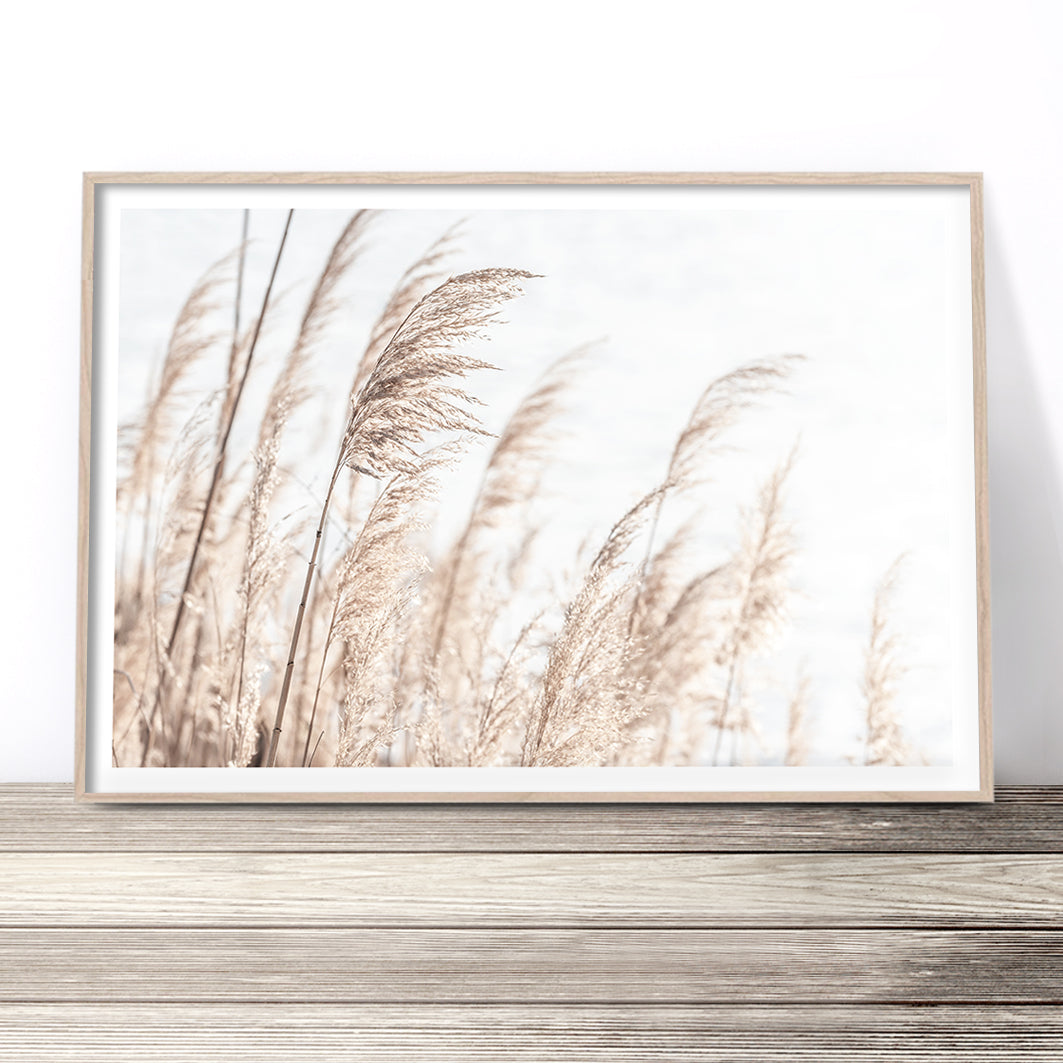 pampas-grass-print-neutral-wall-art