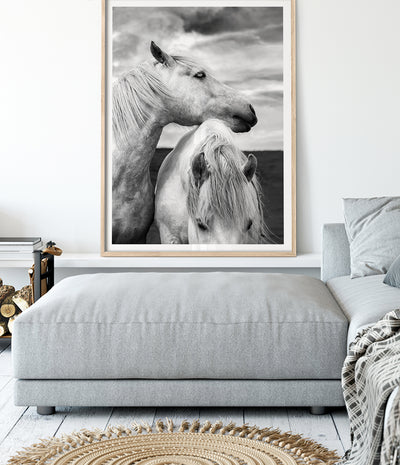 prairie-horse-print-photographic-wall-art-poster