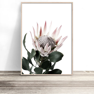 protea-art-print-australia