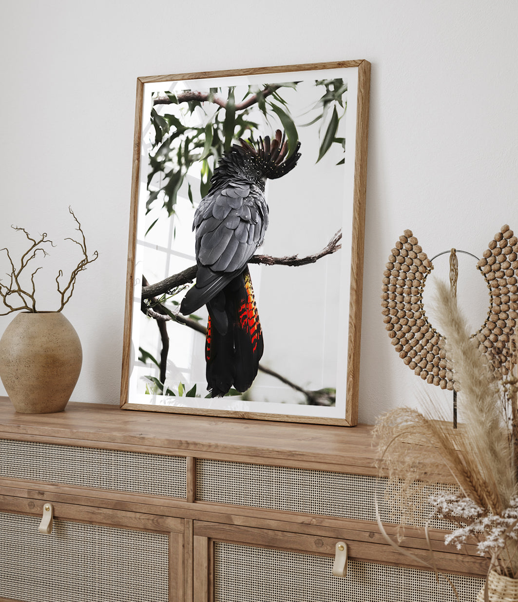 red-tailed-black-cockatoo-art-australian-bird-print-1