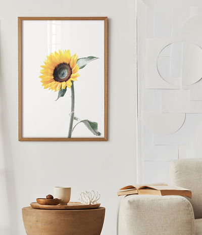 sunflower-art-yellow-flower-prints-australia-1