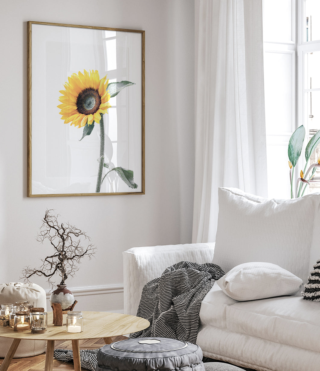 sunflower-art-yellow-flower-prints-australia-1