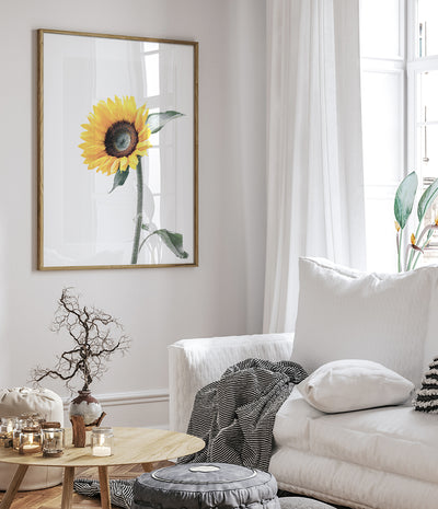 sunflower-art-yellow-flower-prints-australia-1