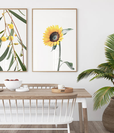 sunflower-art-yellow-flower-prints-australia-1