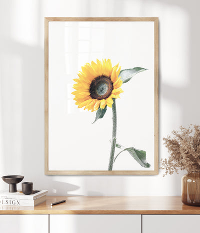 sunflower-art-yellow-flower-prints-australia-1