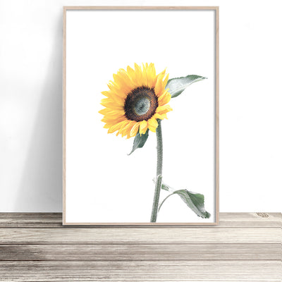 sunflower-art-yellow-flower-prints-australia-1