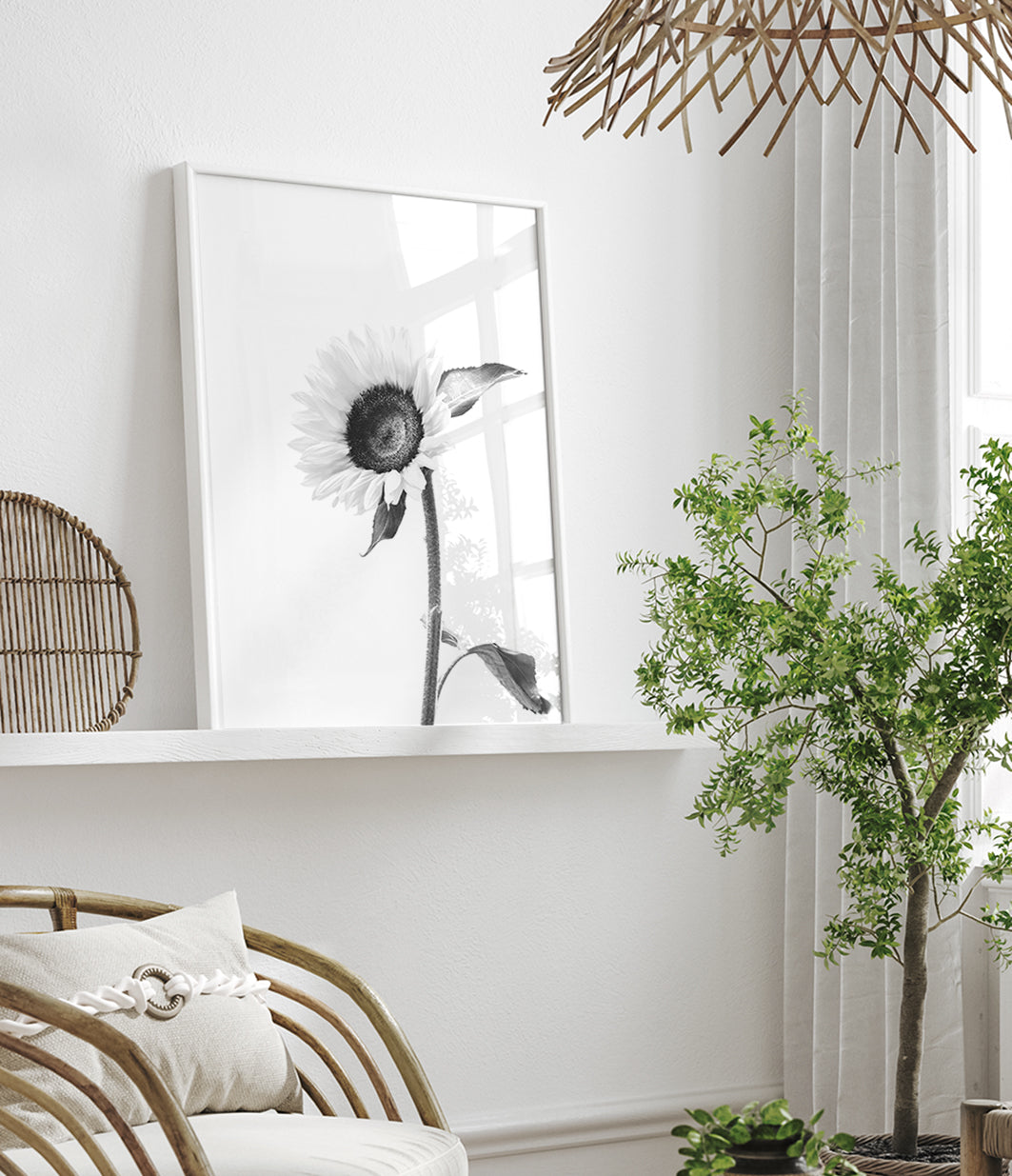 sunflower-print-black-and-white-floral-wall-art-australia