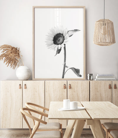 sunflower-print-black-and-white-floral-wall-art-australia
