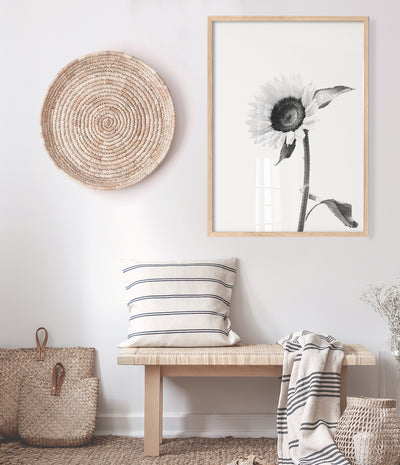 sunflower-print-black-and-white-floral-wall-art-australia