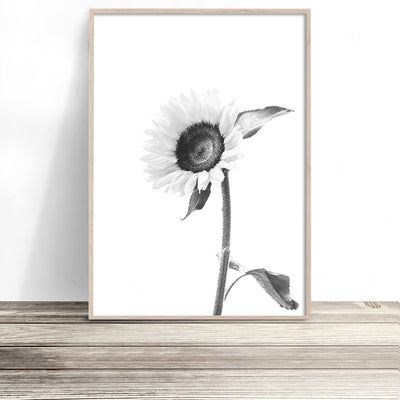 sunflower-print-black-and-white-floral-wall-art-australia