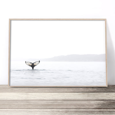 whale-art-print-australia-coastal-wall-art