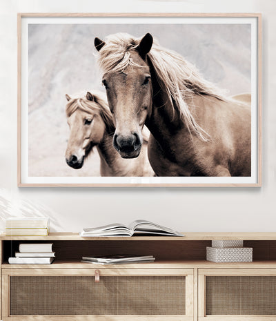 wild-horse-art-print-australia