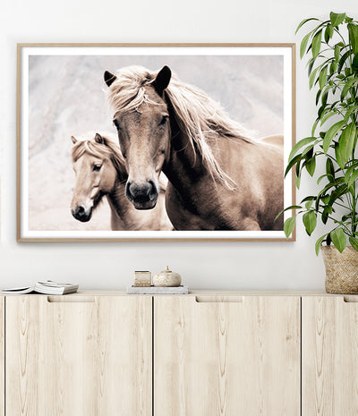 wild-horse-art-print-australia