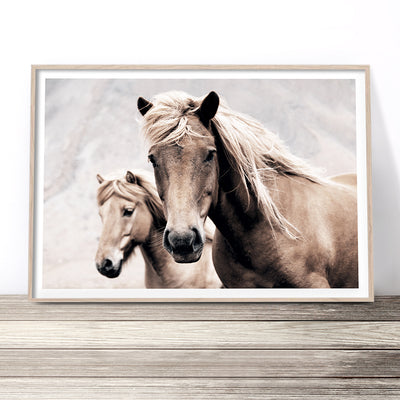 wild-horse-art-print-australia