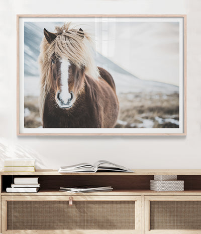 wild-icelandic-horse-art-print