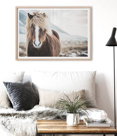 wild-icelandic-horse-art-print