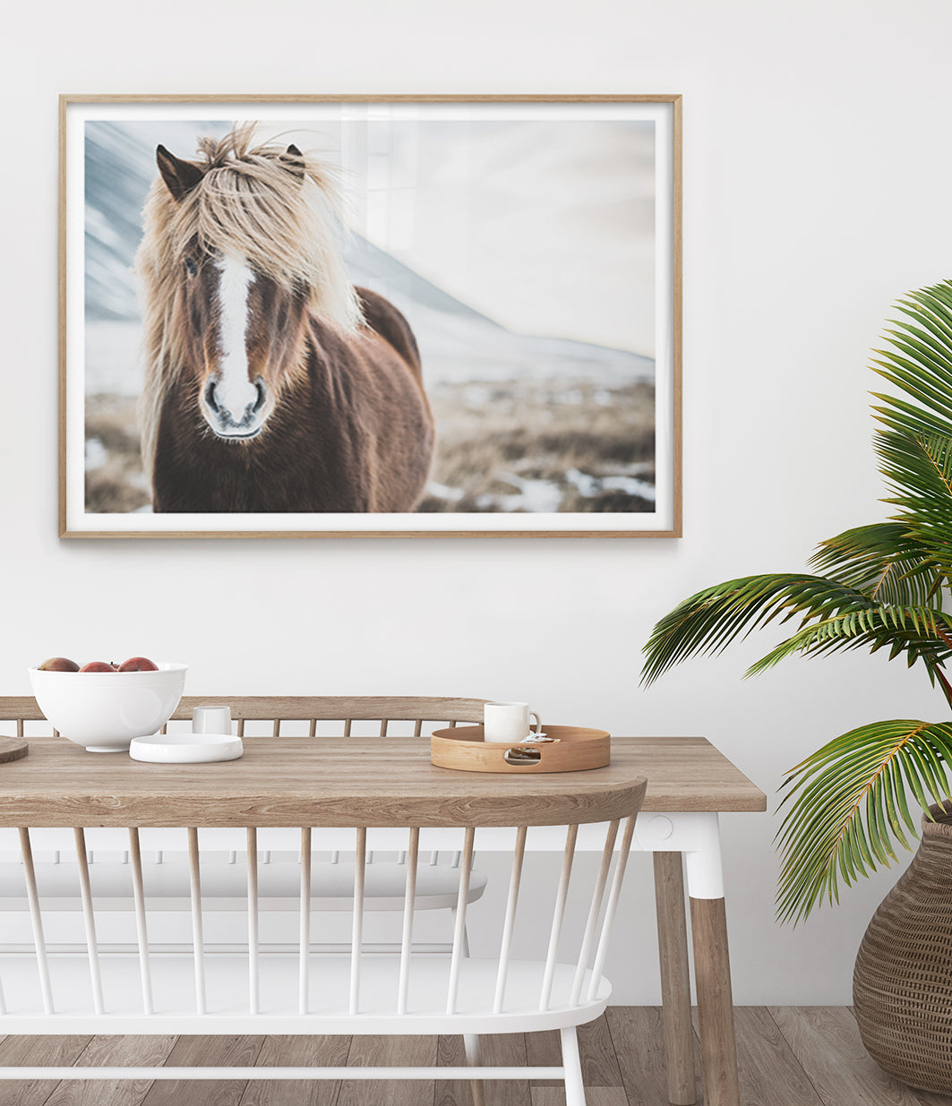 wild-icelandic-horse-art-print