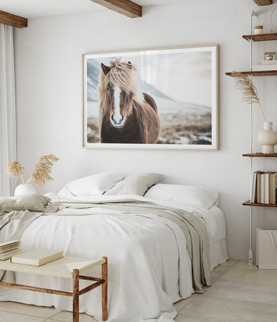 wild-icelandic-horse-art-print