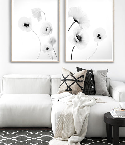 Modern poppy flower wall art print photography poster made in melbourne australia