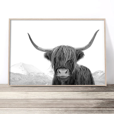scottish-highland-cow-print-australia-highland-cattle-wall-art-poster