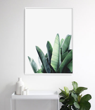 Tropical Leaves Print