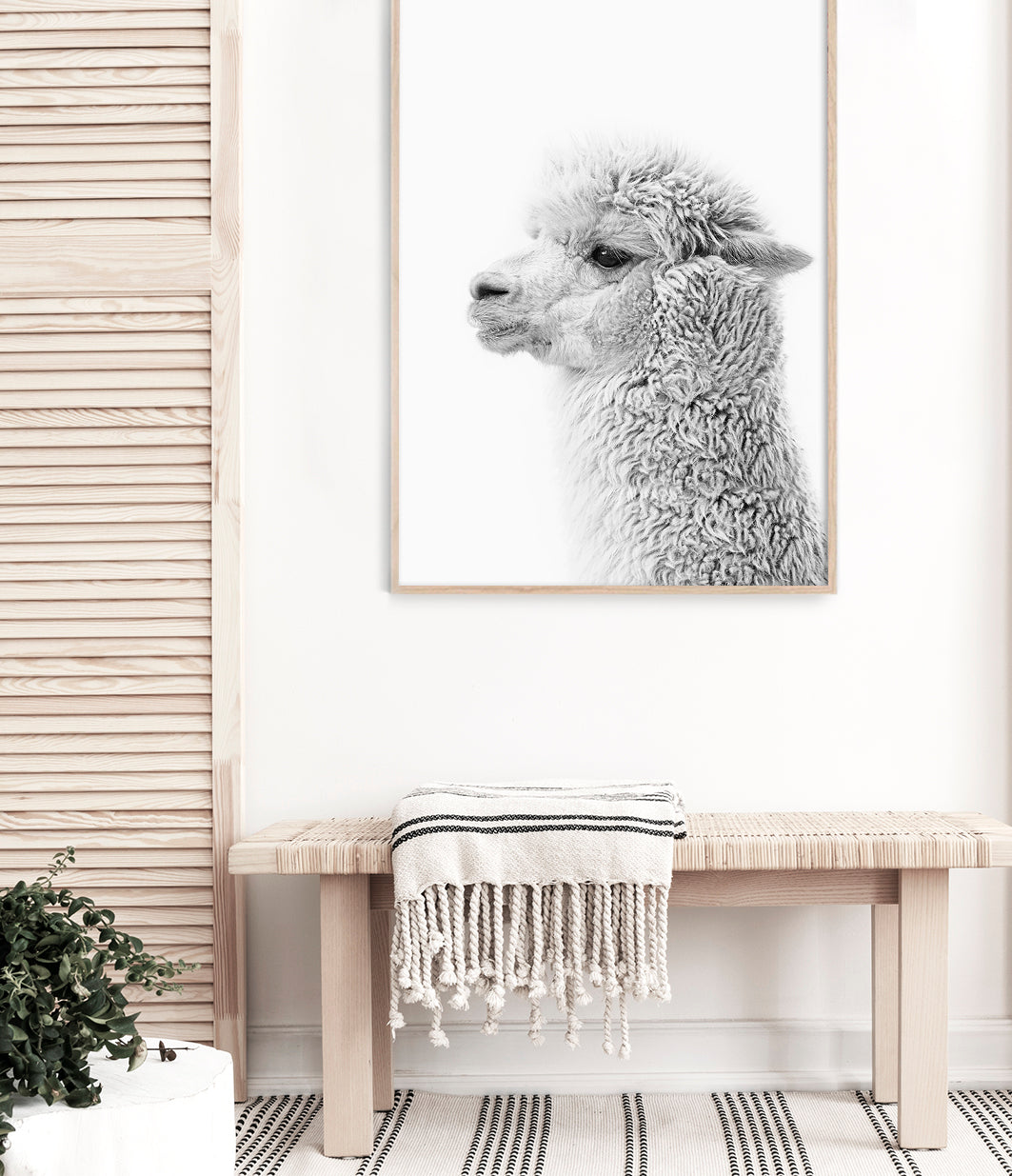 alpaca print llama wall art - buy photography poster decor for home