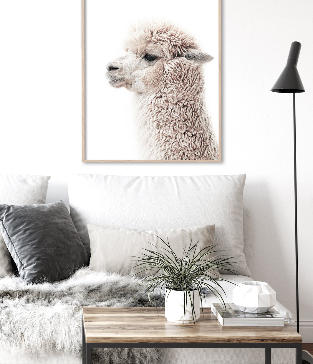 buy llama print alpaca wall art - shop photography poster artwork for home