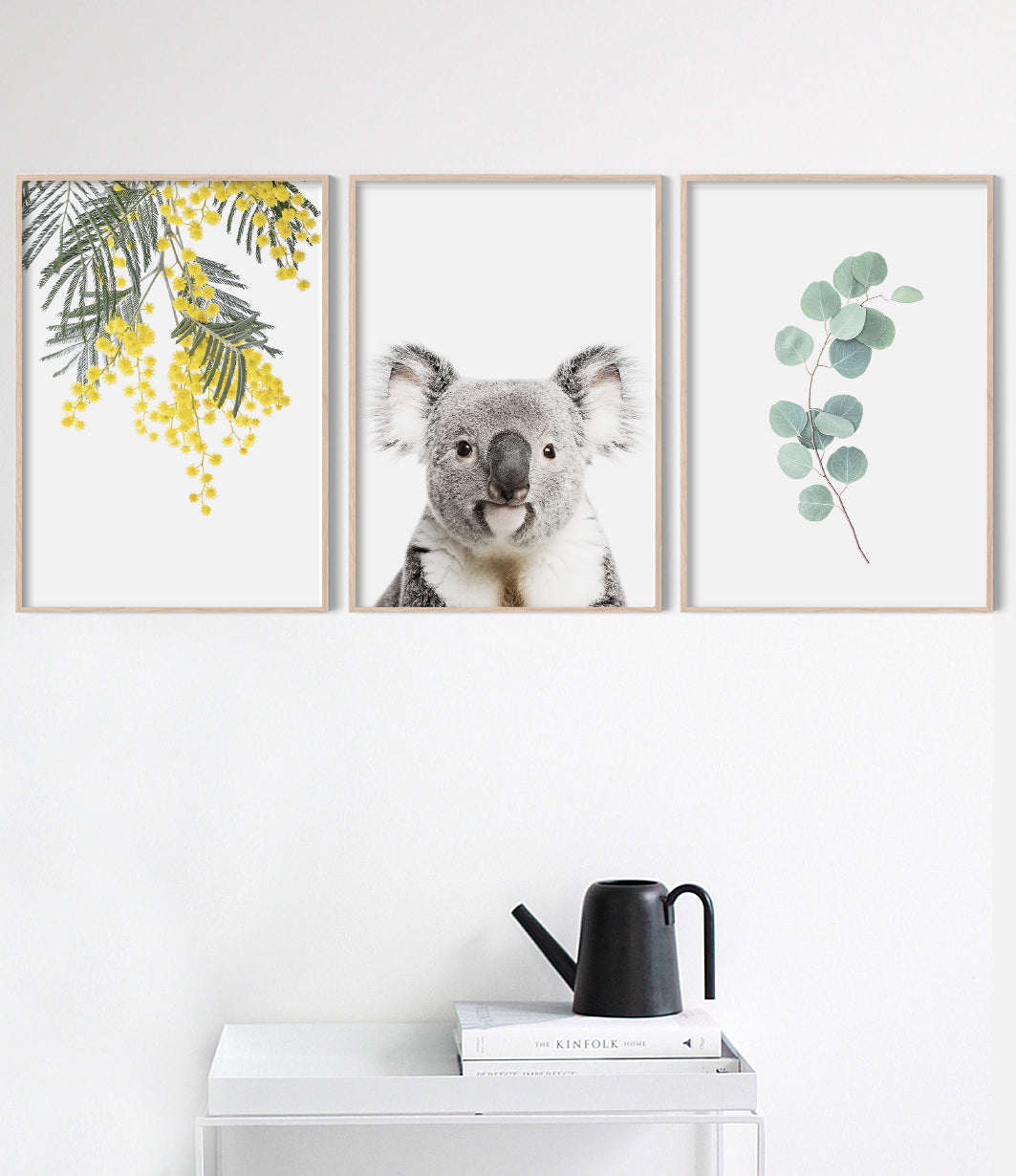 Set of 3 Australian Prints - Wattle, Koala, Eucalyptus