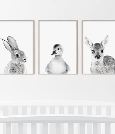 baby animal nursery prints australia - modern scandinavian nursery wall art - shop photography poster artwork for kids room