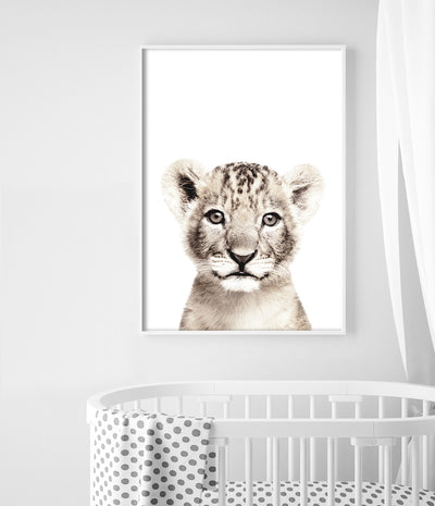 Lion Cub Print