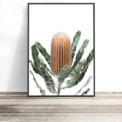 Banksia Print