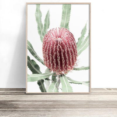    banksia art print australian native flower wall art floral photography poster