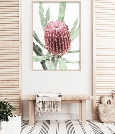    banksia print native australian floral wall art flower photography poster