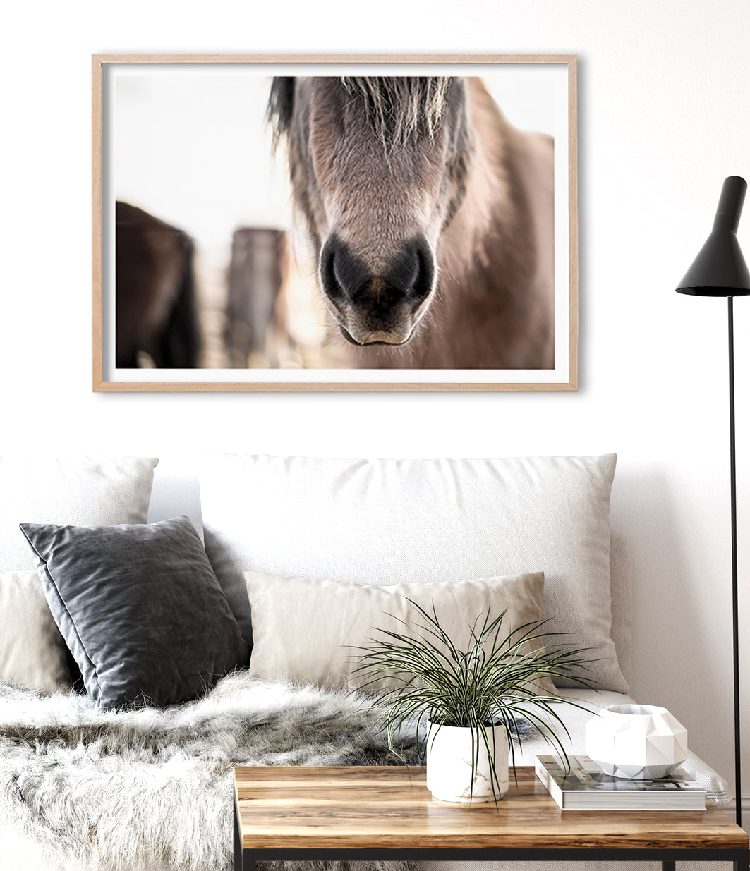beautiful horse print australia