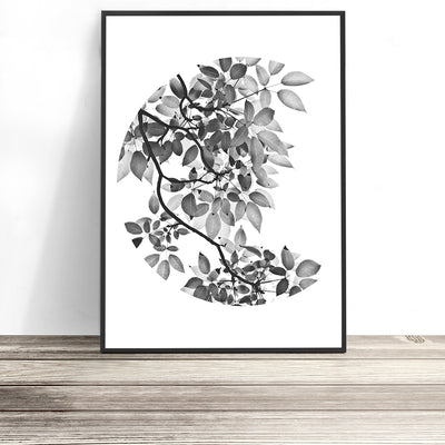 modern botanical wall art print australia