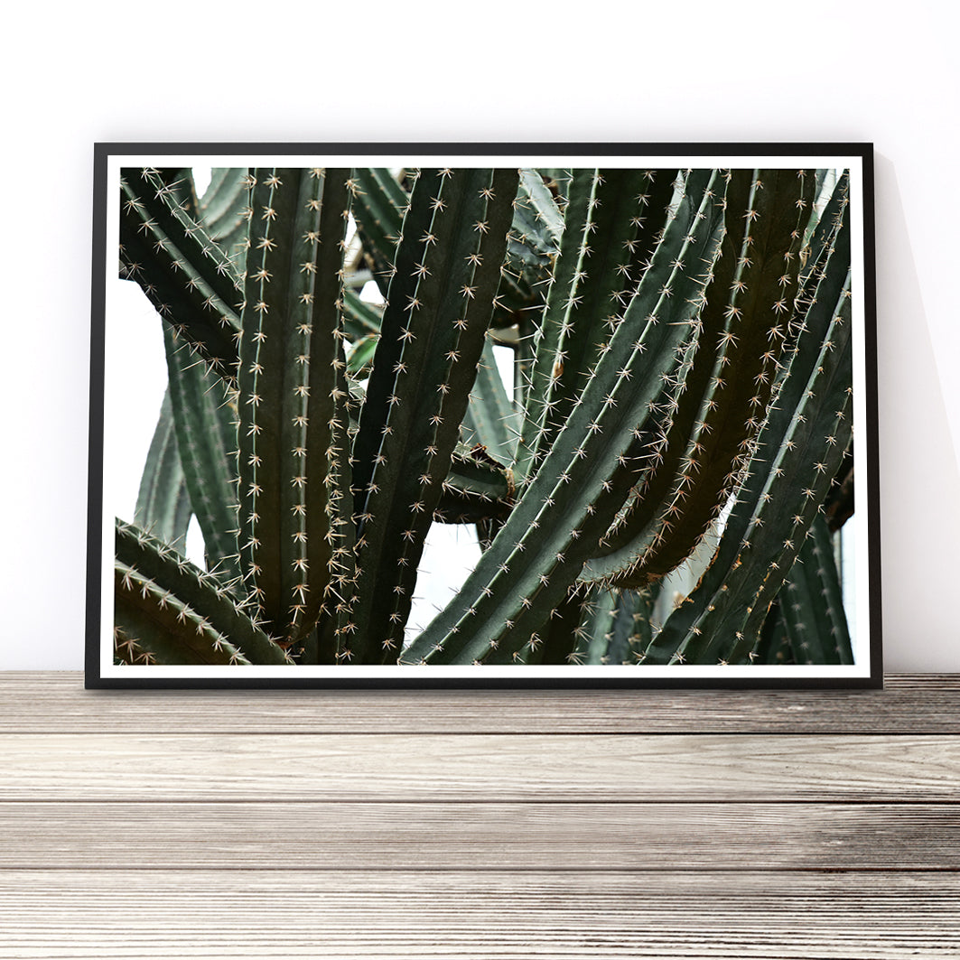 Cactus Print