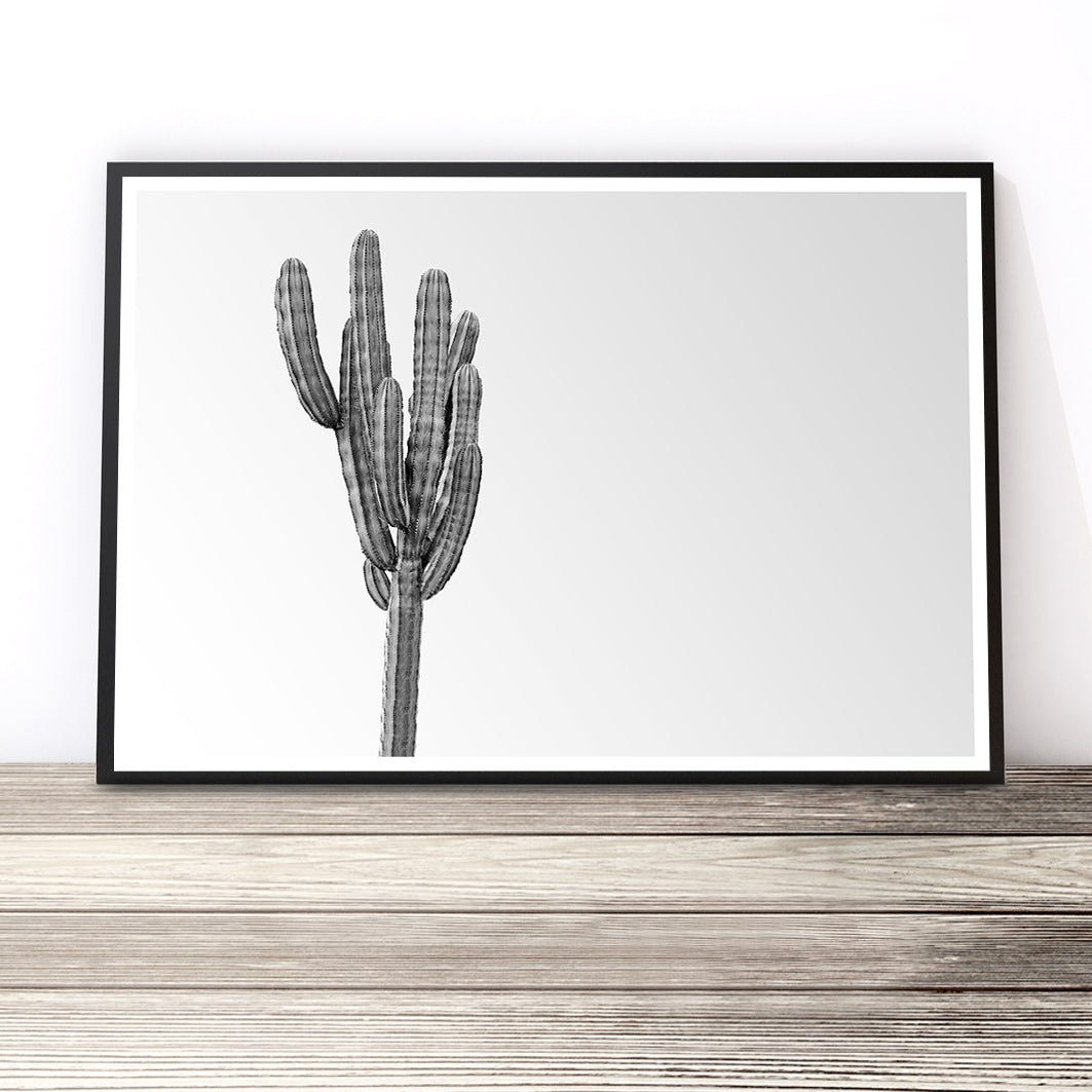 Minimalist Black and White Cactus Print