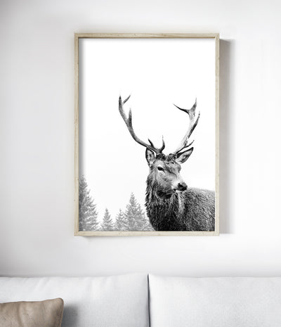 Deer Print
