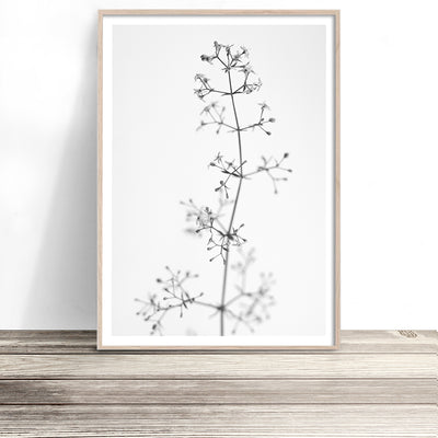 black and white flower wall art print australia