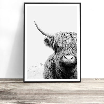 black and white highland cow wall art print australia