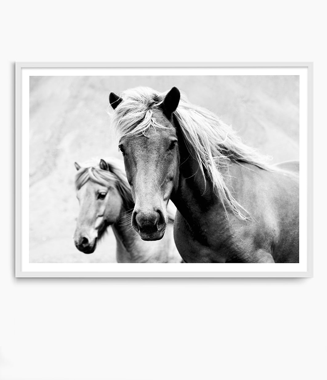 Wild Horses Print (Black and White)