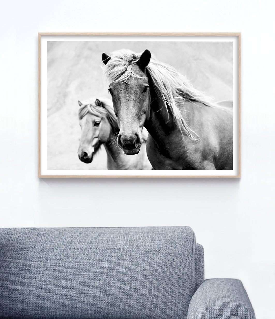 Wild Horses Print (Black and White)
