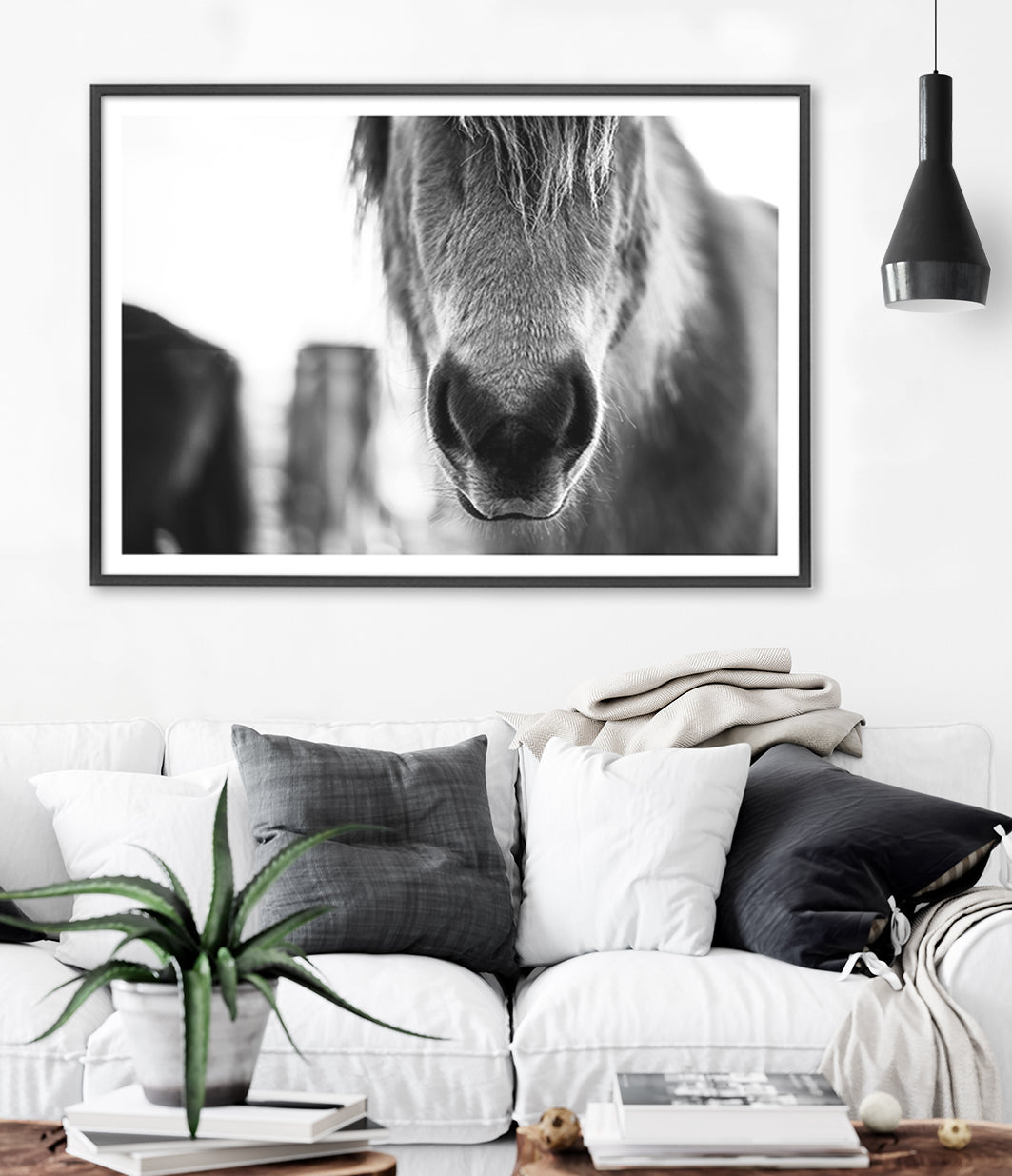 black and white horse wall art australia 2