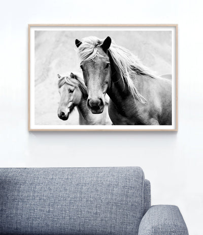 Wild Horses Print (Black and White)