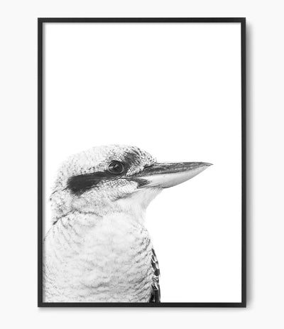 kookaburra print