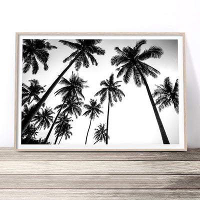 black and white palm tree art print australia