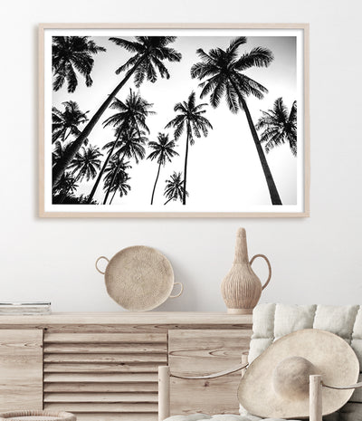 black and white palm tree print australia