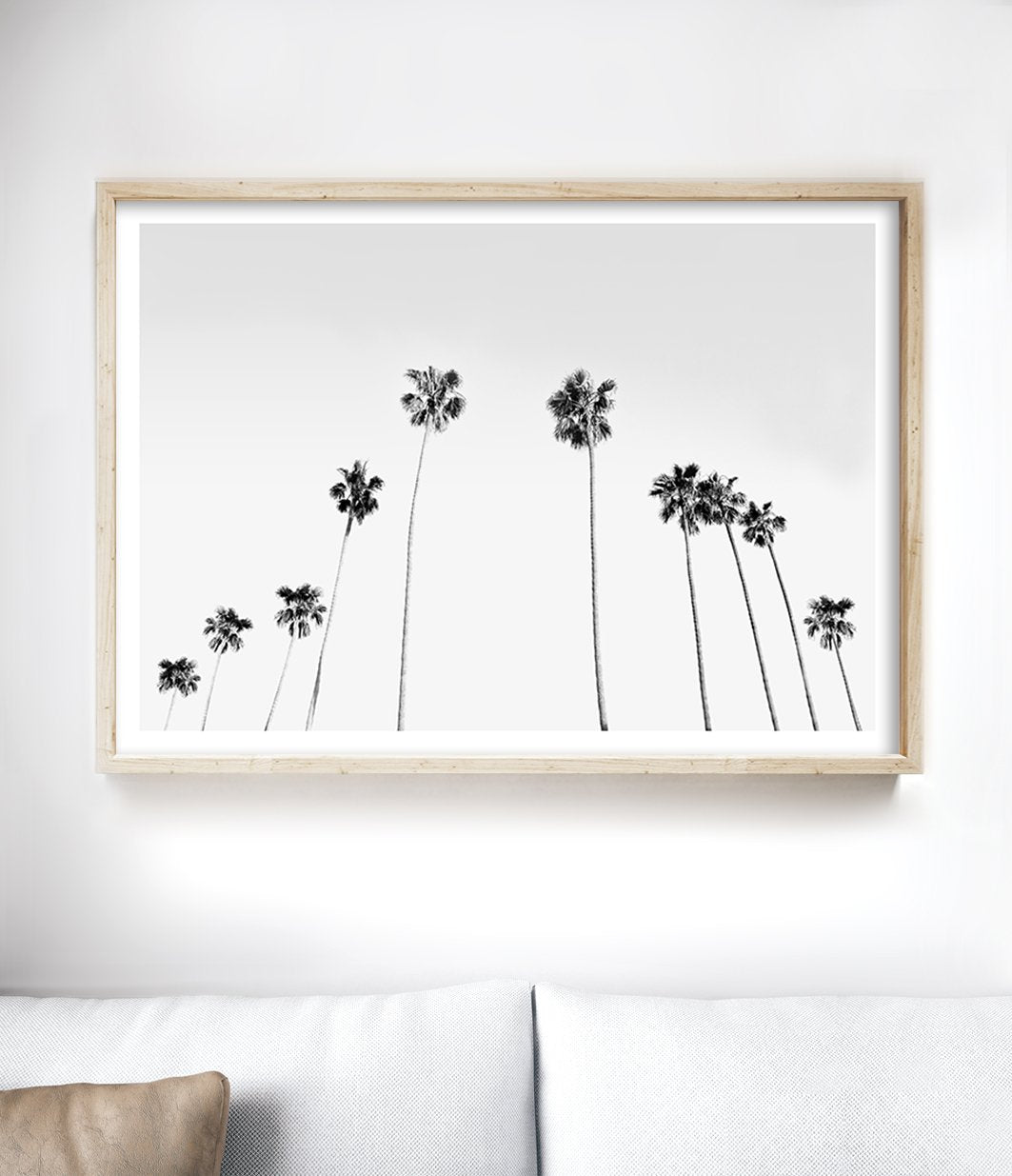black and white palm tree print australia